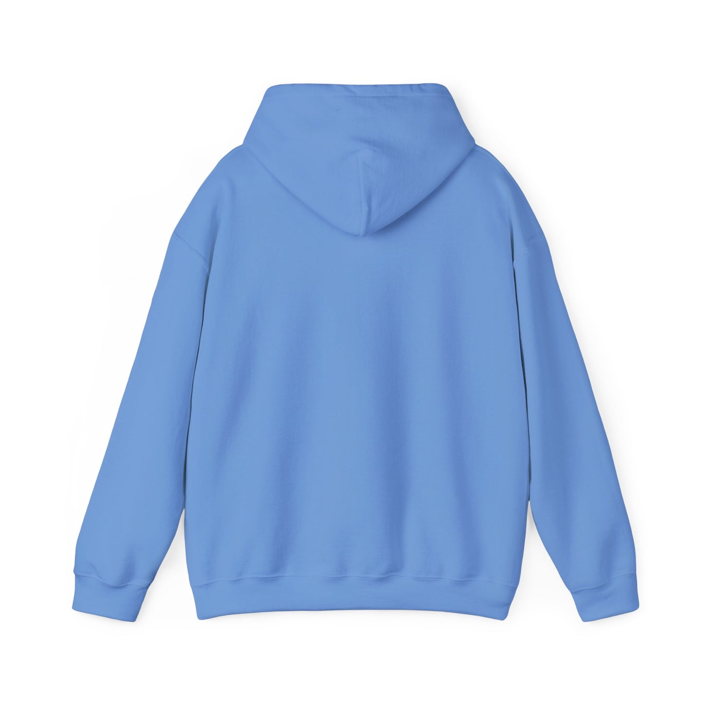 Wylieville After Dark: Sea of Treasury Unisex Fun Hooded Sweatshirt